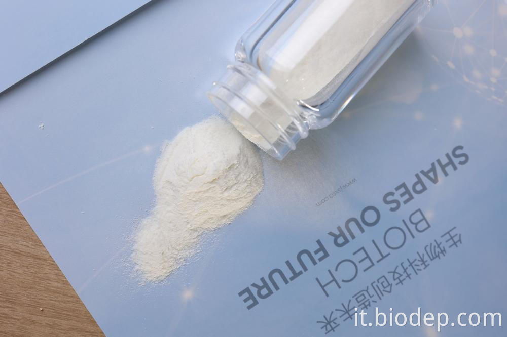 Akkermansia Muciniphila